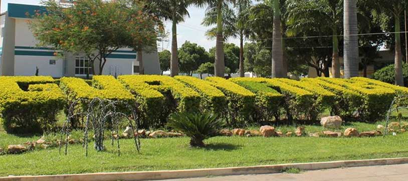 GUANAMBI realiza primeiro casamento homoafetivo